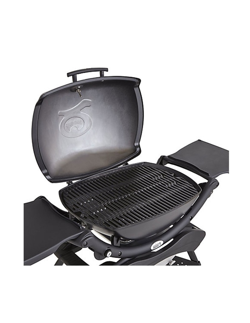 BARBECUE GAS WEBER Q 2200 CON STAND